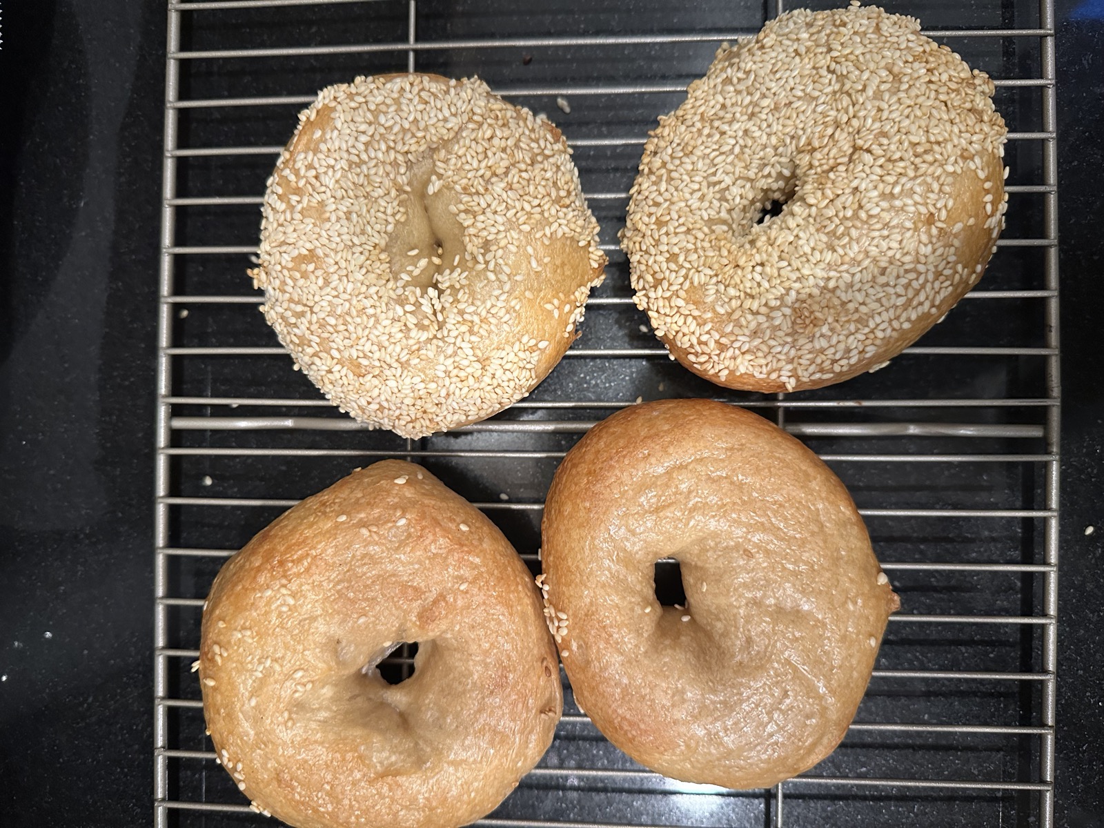 Baked plain and sesame bagels cooling on a rack
