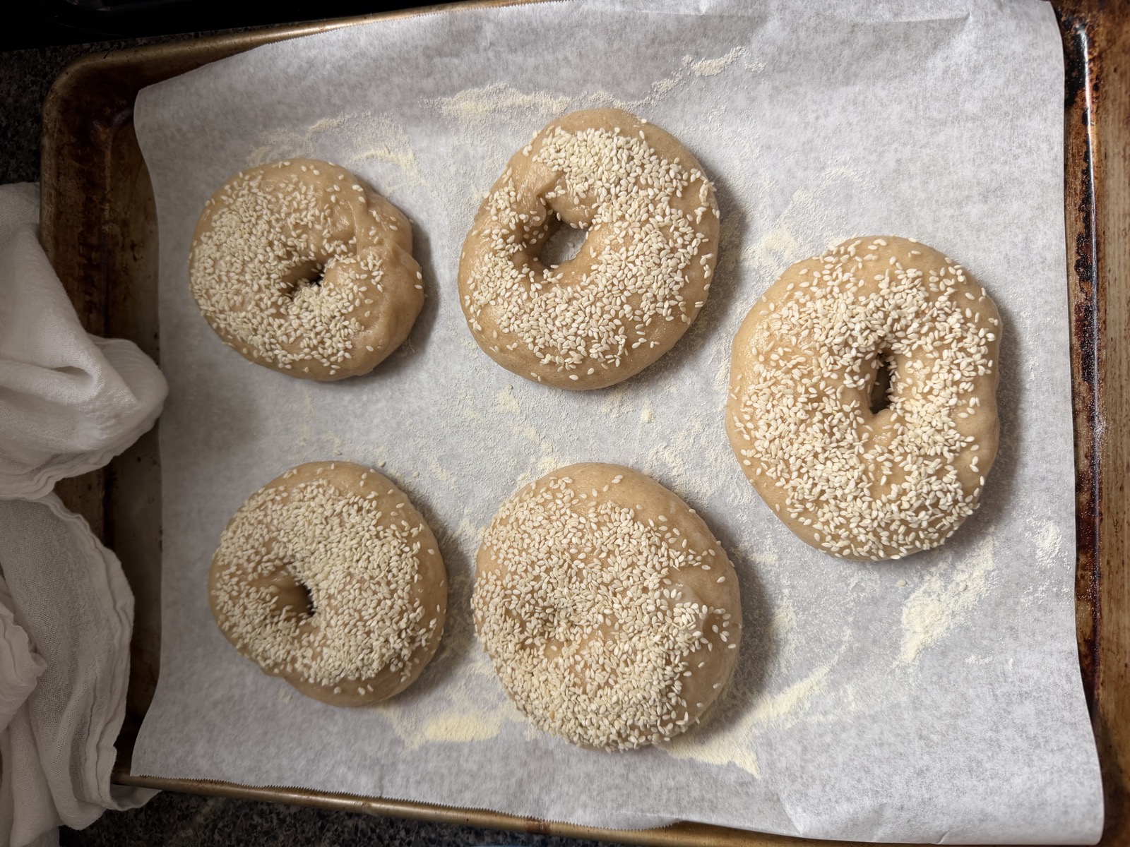 Bagel dough topped with sesame seeds, ready to bake