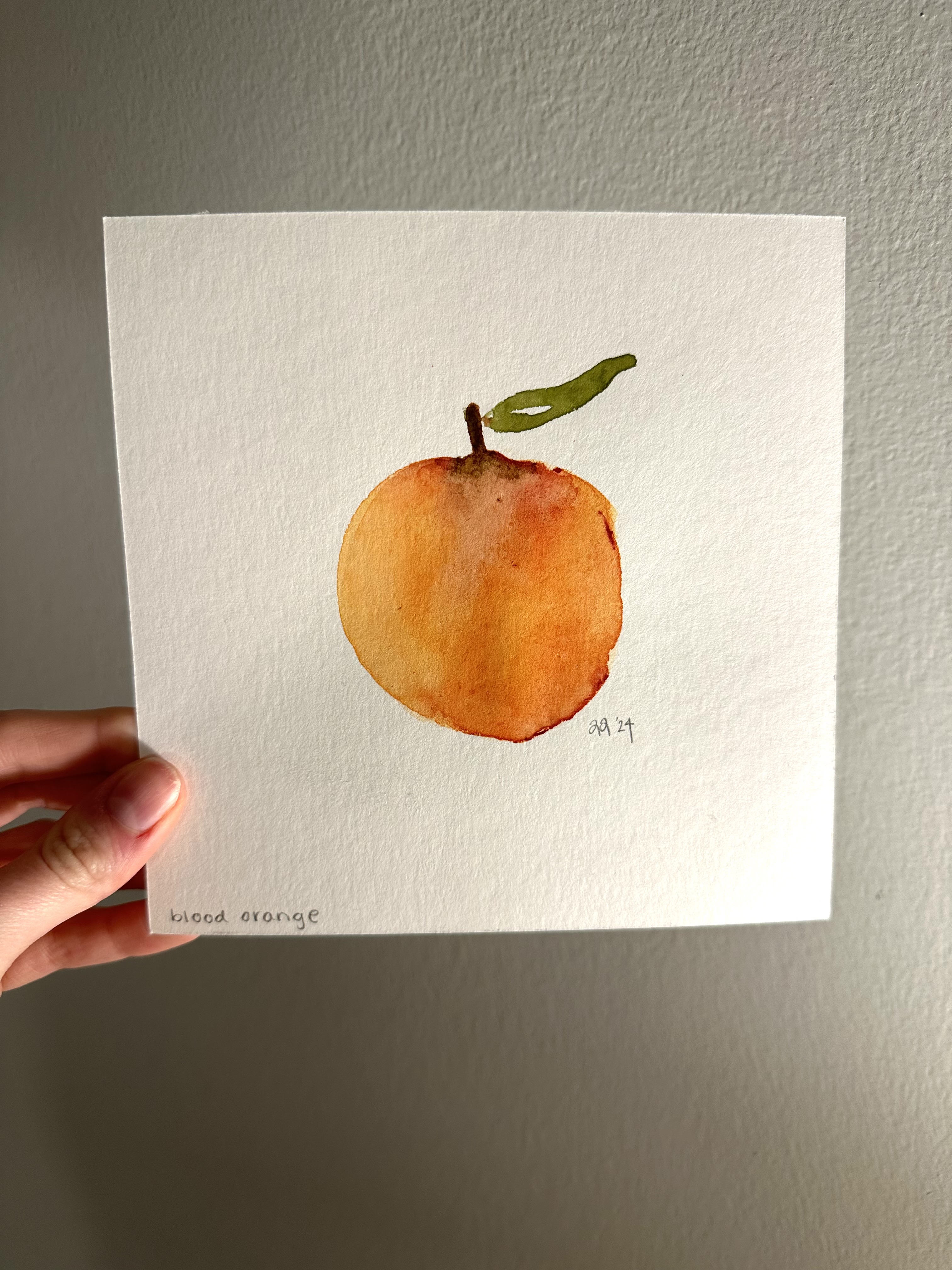 Watercolor painting of a blood orange