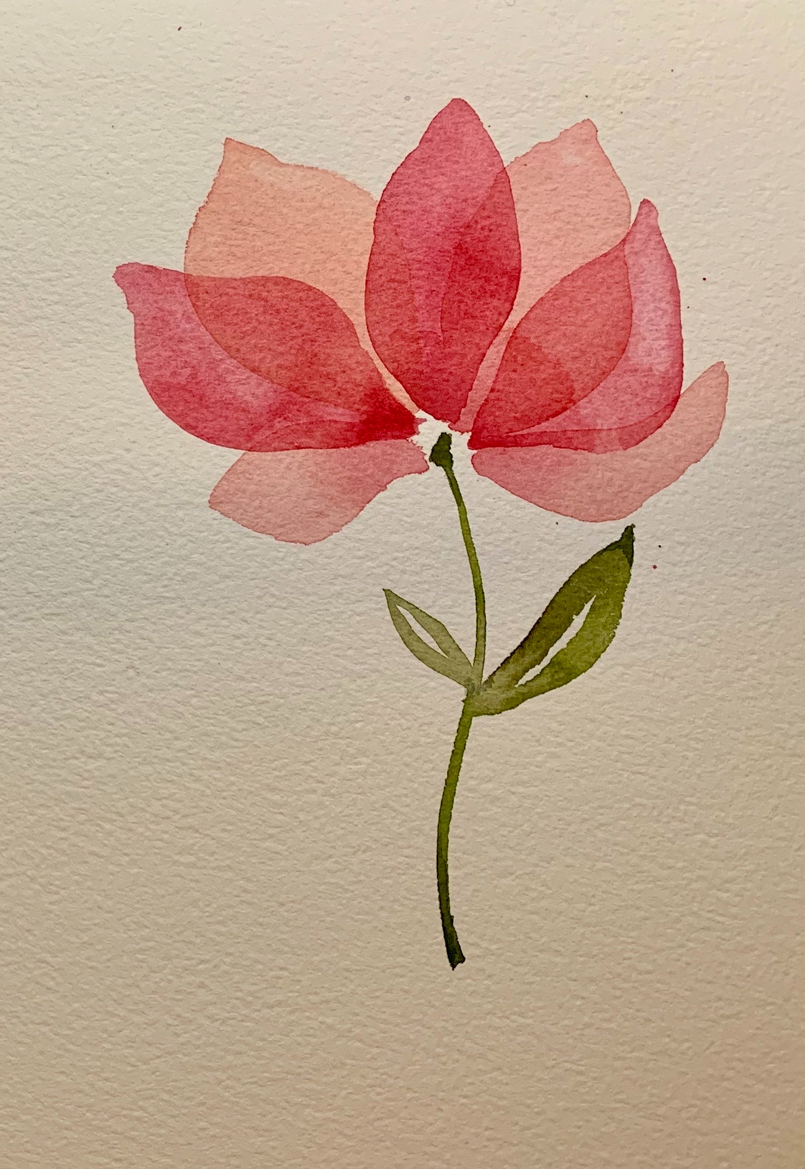 Watercolor painting of a pink flower, thank you card
