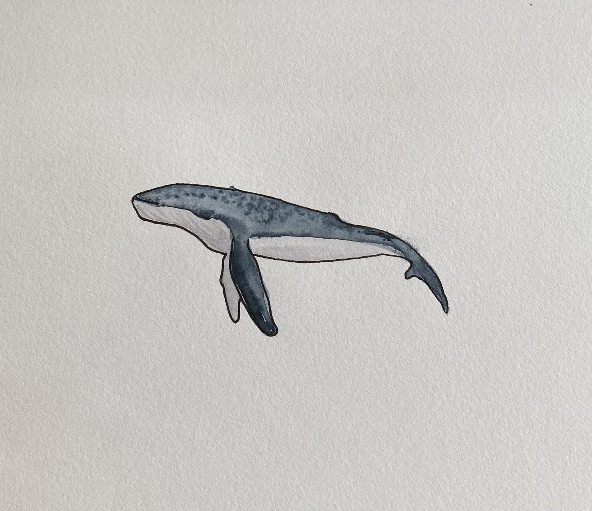 Watercolor painting of a humpback whale